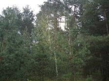 IMGP5183