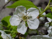 IMGP5288