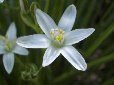 IMGP5598