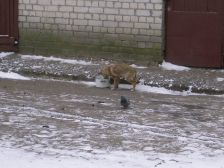 IMGP4648
