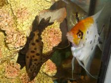 IMGP4705
