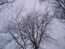 IMGP4755