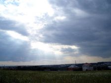 IMGP7631
