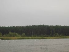 IMGP7740