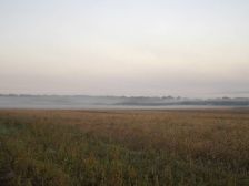 IMGP7792