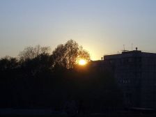 IMGP7284