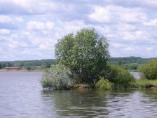 IMGP7315