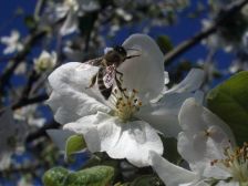 IMGP8057