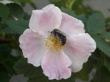 IMGP8064