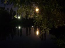IMGP8083