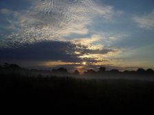 IMGP8233