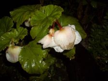 IMGP8271