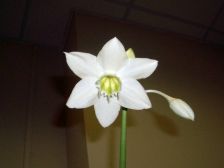 IMGP8307