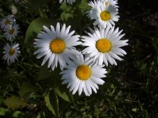 IMGP8405