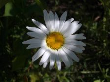 IMGP8406